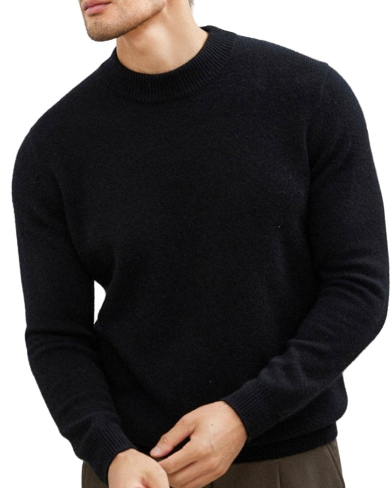 Bayer Modehaus - Herren Feinstrick-Pullover mit Stehkragen, lange Ärmel in Schwarz