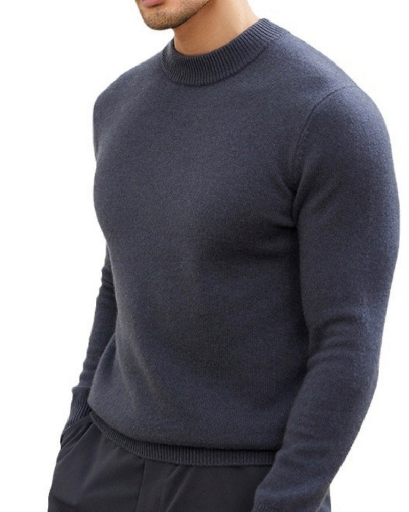 Herren Feinstrick-Pullover mit Stehkragen, lange Ärmel