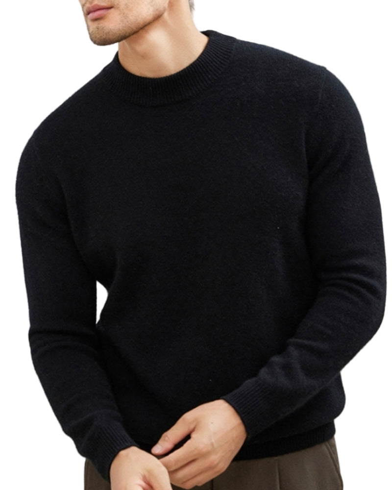 Herren Feinstrick-Pullover mit Stehkragen in Schwarz