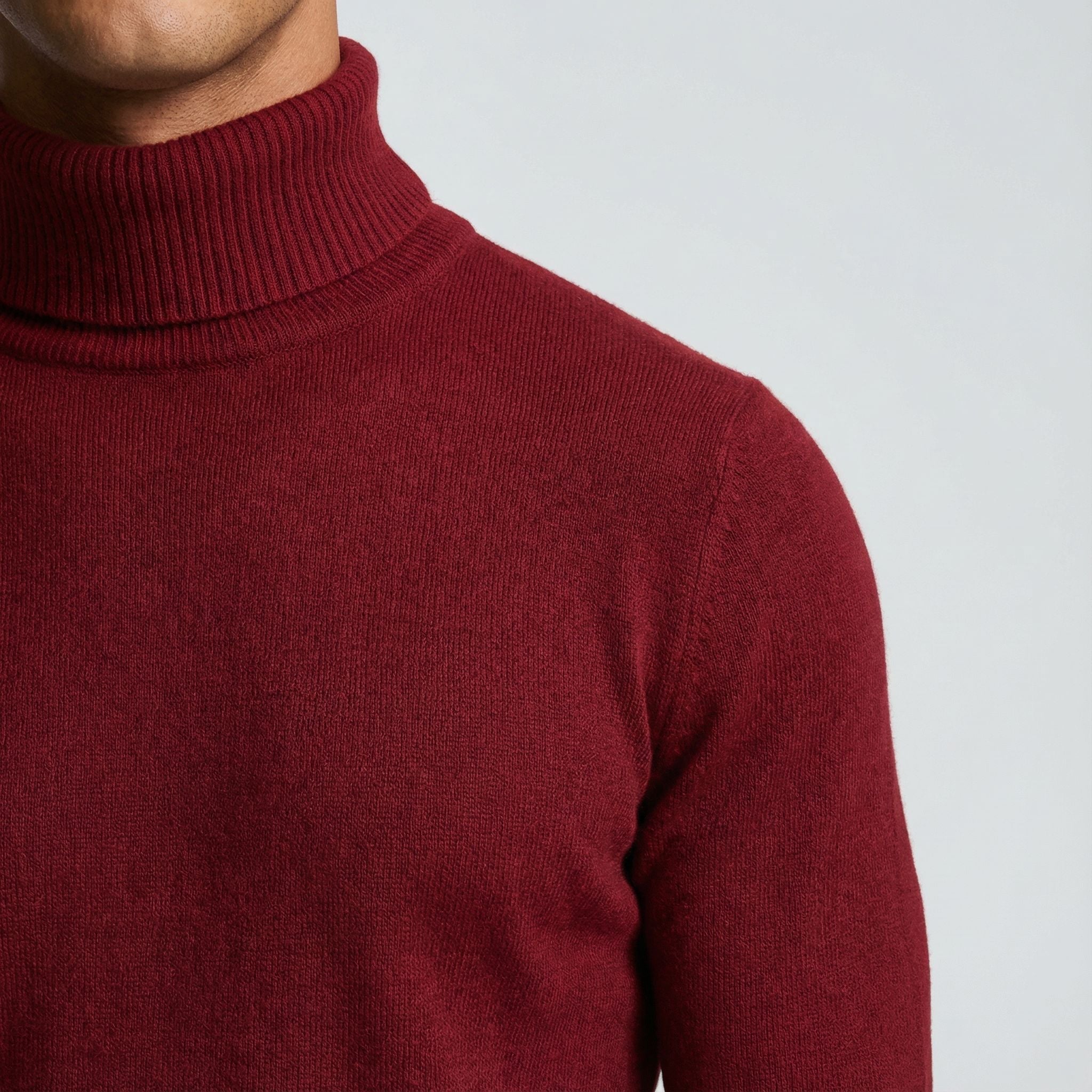 Herren Rollkragenpullover aus Feinstrick, klassisch geschnitten