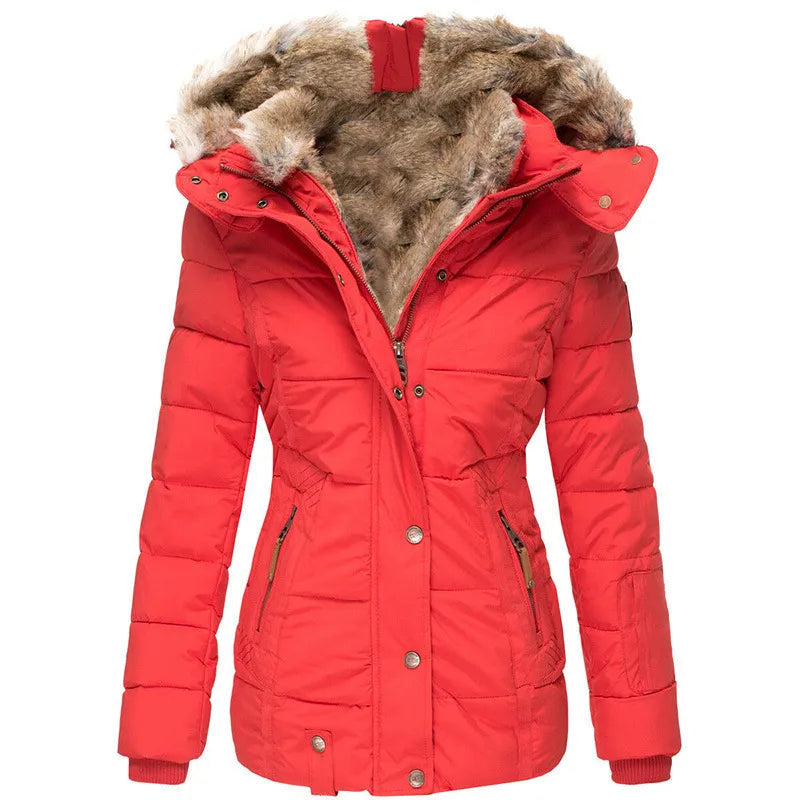 Gesteppter Wintermantel mit Kapuze und Zipper-Taschen für Damen in Rot - Ansicht 5